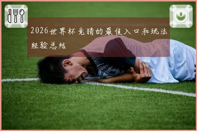 2026世界杯竞猜的最佳入口和玩法经验总结
