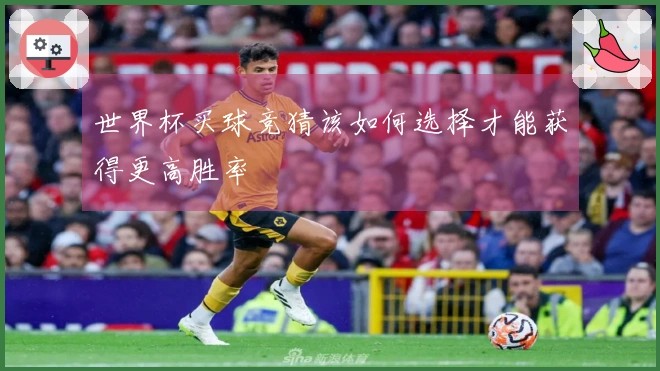世界杯买球竞猜该如何选择才能获得更高胜率
