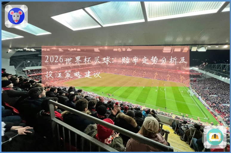 2026世界杯买球：赔率走势分析及投注策略建议