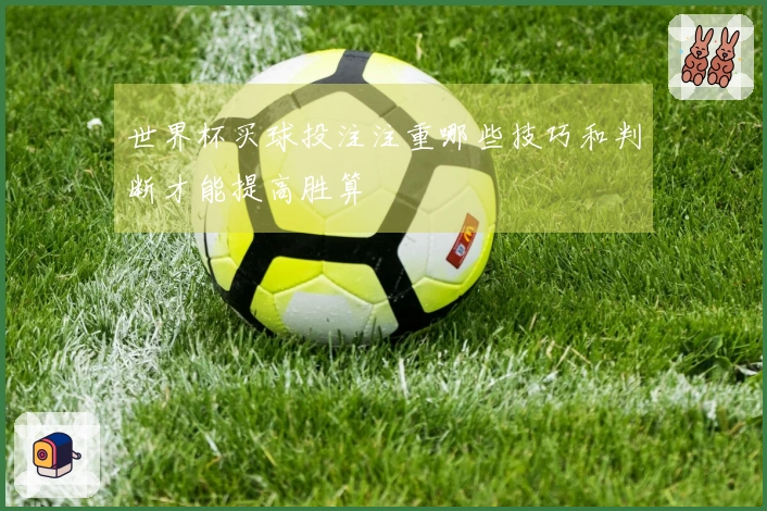 世界杯买球投注注重哪些技巧和判断才能提高胜算