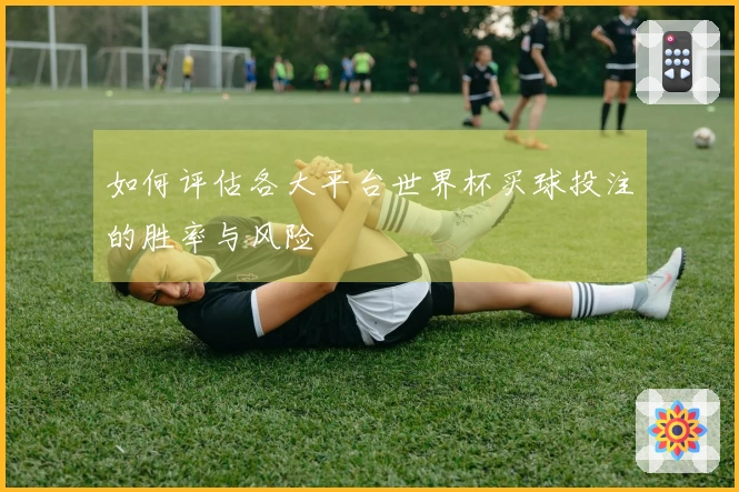 如何评估各大平台世界杯买球投注的胜率与风险