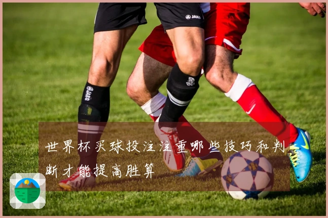 世界杯买球投注注重哪些技巧和判断才能提高胜算