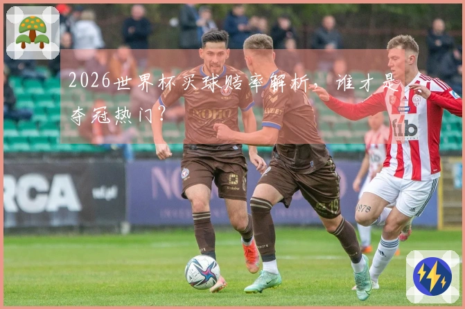 2026世界杯买球赔率解析，谁才是夺冠热门？