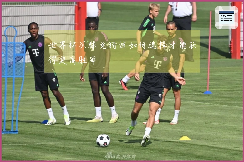 世界杯买球竞猜该如何选择才能获得更高胜率