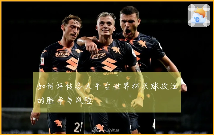 如何评估各大平台世界杯买球投注的胜率与风险