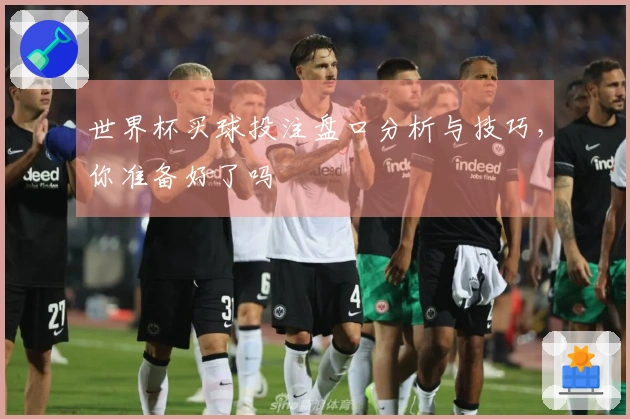 世界杯买球投注盘口分析与技巧，你准备好了吗